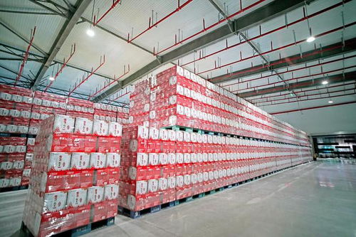 雪花啤酒涼山工廠竣工，開啟高質(zhì)量發(fā)展新征程